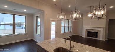 Kitchen View