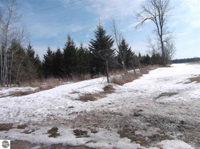 00 Galion Rd, Hale, MI 48739 - photo 4