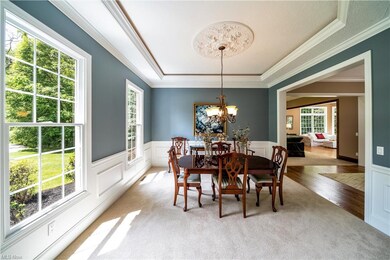 Dining Room has Rope Lighting in Ceiling