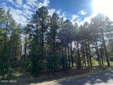 Tall Pines