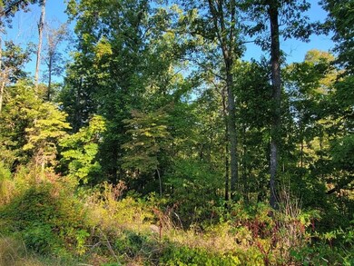 0 Dunvegan Dr unit 1200740, Bella Vista, AR 72715 - photo 5