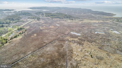 1806 Crocheron Rd, Toddville, MD 21672 - photo 4