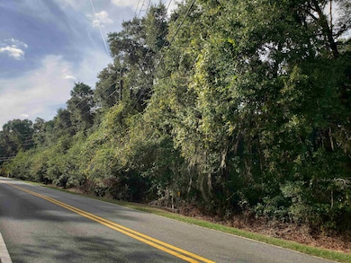 0 Lonnie Rd unit 392431, Tallahassee, FL 32308 - photo 5