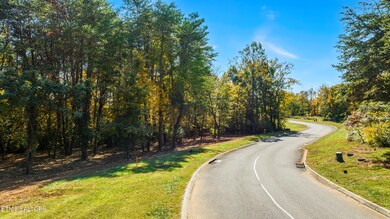 L-104 Falcon Tr, Vonore, TN 37885 - photo 5