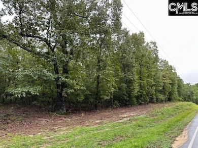 P/O 1375 Fallaw Rd, Gaston, SC 29053 - photo 2