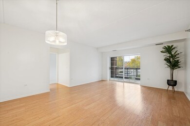 440 W Mahogany Ct unit 203, Palatine, IL 60067 - photo 7