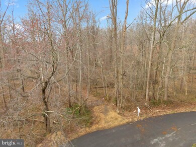 7801 Creekside View Ln, Springfield, VA 22153 - photo 7