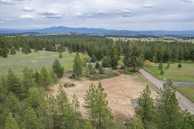 3520 W Woolard Rd, Colbert, WA 99005 - photo 3