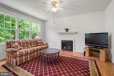 4 North Place, Newark, DE 19711 - photo 7