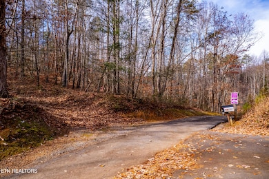 Lot 2 Tatem Marr Way, Sevierville, TN 37876 - photo 6