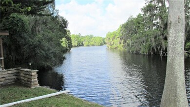 Beautiful View of the River