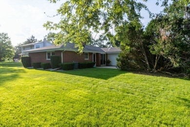 Large Backyard