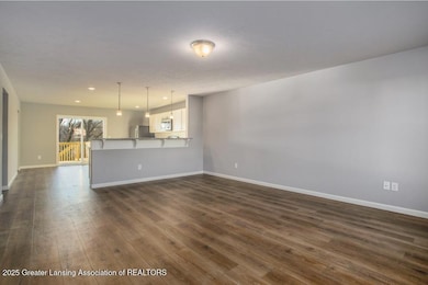 4564 Cambria Ct, Potterville, MI 48876 - photo 3