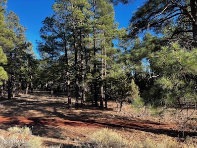 475 N Double A Ranch Rd, Williams, AZ 86046 - photo 7