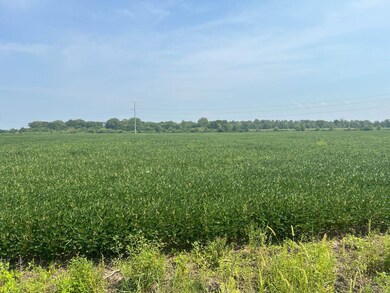 00 Sandy Bend Rd, Frederick, IL 62639 - photo 6