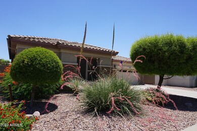 Front 1