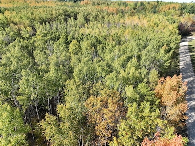 TBD NW Cedar Crest Loop, Walker, MN 56484 - photo 5