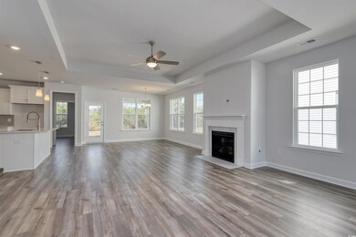 Unfurnished living room with a raised ceiling, a h