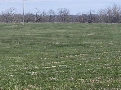 000 N Mm N, Mountain Grove, MO 65711 - photo 5