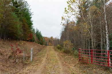 TBD W Us Highway 421, Ferguson, NC 28624 - photo 4