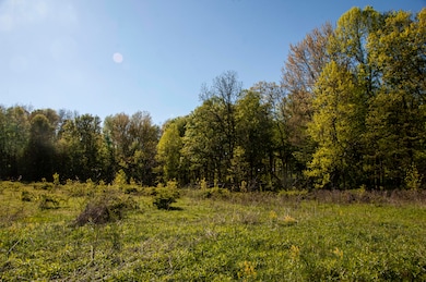 6877 N Nature Ln, Laporte, IN 46350 - photo 6