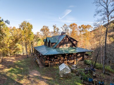 336 Old Skeenah Gap Rd, Suches, GA 30572 - photo 4