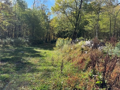 0 Roses Brook Rd unit R1650834, Stamford, NY 12167 - photo 3