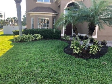 MANY MORE PLANTS COMING