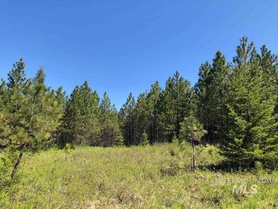 Lot 5 Clark Valley Ct, Weippe, ID 83553 - photo 7