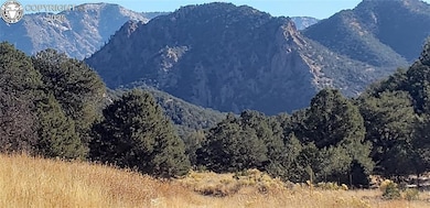 675 Black Gulch Rd, Cotopaxi, CO 81223 - photo 3