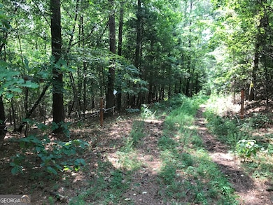 0 Moores Gin Rd unit 9693 10325272, Fairmount, GA 30139 - photo 3