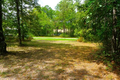75 N Forest Dr, Huntsville, TX 77340 - photo 2