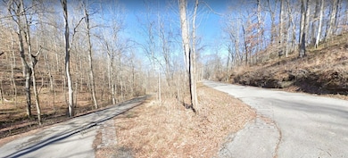 4222 Bernard Rd, Joelton, TN 37080 - photo 6