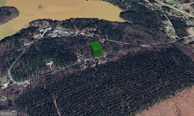 LOT 31C Lbk Rd, Tignall, GA 30668 - photo 4