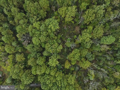 0 Fiery Run Rd unit VAFQ2000093, Linden, VA 22642 - photo 5