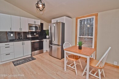 29 Mountain Rd, Albrightsville, PA 18210 - photo 7