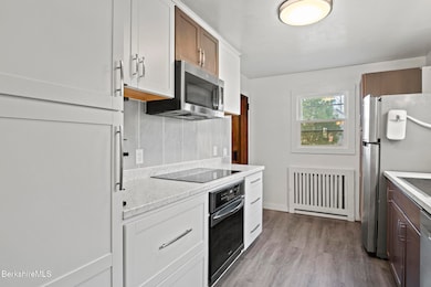 11 Mcallister St, Pittsfield, MA 01201 - photo 3