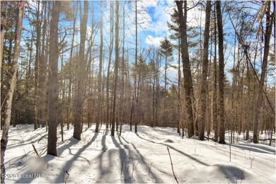 L92 Highview Ln unit Lot 8, Wevertown, NY 12886 - photo 7