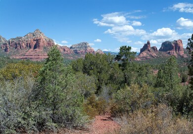 Lot View 4