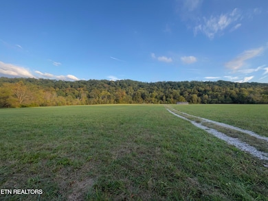 517 Paint Rock Valley Road