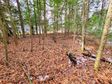 43 Tanglewood Dr, Essex, VT 05452 - photo 4