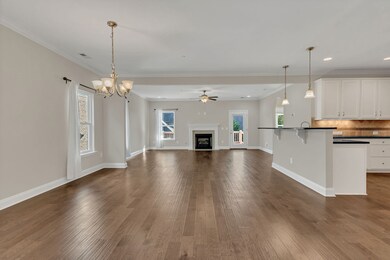 312 Rafferty Ct, Franklin, TN 37064 - photo 6