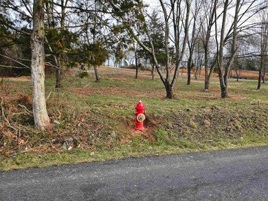 10 CROWN RDIGE Berry Farm Rd, Staunton, VA - photo 4