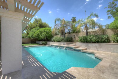 Backyard3