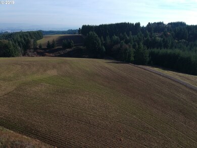 35970 SW Bald Peak Rd, Hillsboro, OR 97123 - photo 2