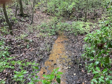 00 N Little River Rd, Salem, SC 29676 - photo 3