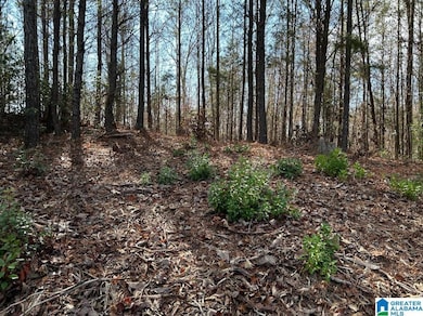 4.15 acres N Hagler Rd, Northport, AL 35475 - photo 3