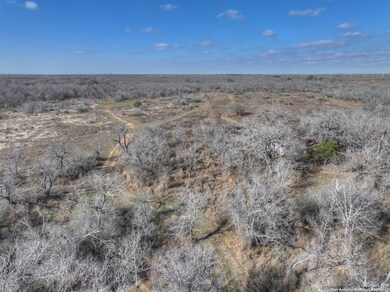 6093 Leal Rd, Pleasanton, TX 78064 - photo 5