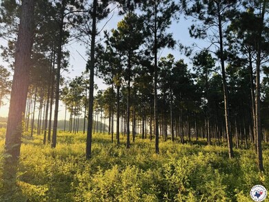 Tbd 3659, Queen City, TX 75572 - photo 4