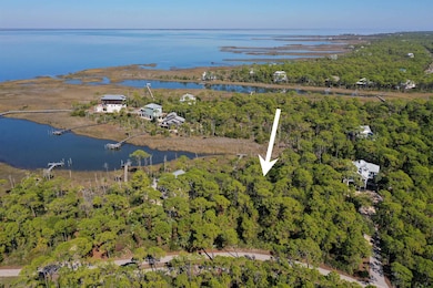 1909 Smugglers Cove Rd, St. George Island, FL 32328 - photo 3